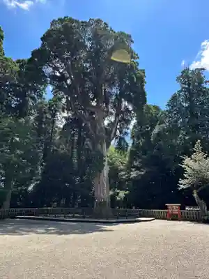 霧島神宮(鹿児島県)