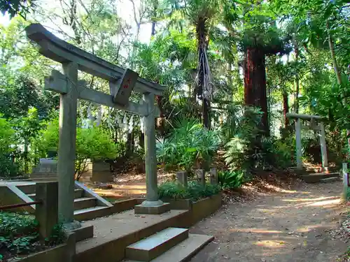 春日部八幡神社の鳥居