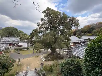 観音寺(香川県)
