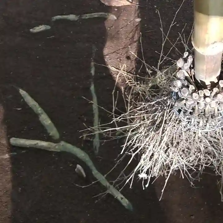 沼尾神社(茨城県)