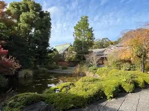 観音寺(埼玉県)