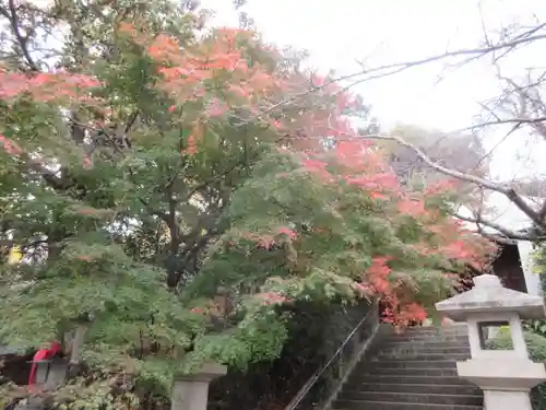 長勝寺の自然
