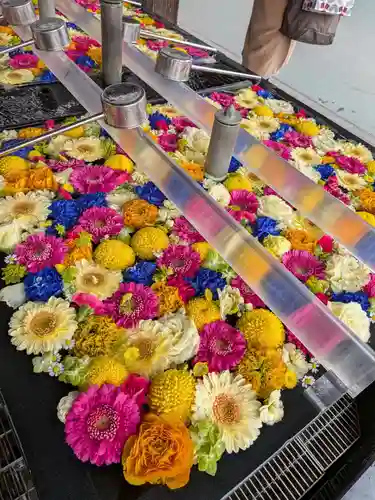 成田山深川不動堂（新勝寺東京別院）(東京都)