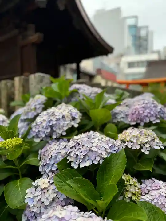 三輪神社(愛知県)