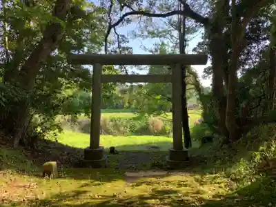 熊野神社の鳥居