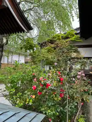 長光寺(長野県)