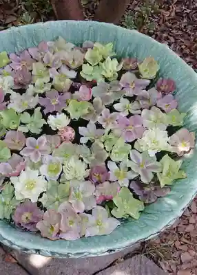 行田八幡神社の手水舎