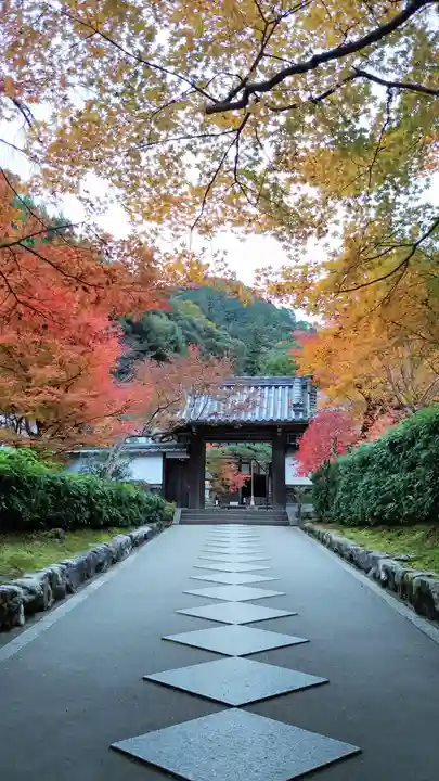 高徳庵 (最勝院)の山門・神門