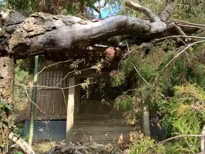 市井神社の本殿・本堂