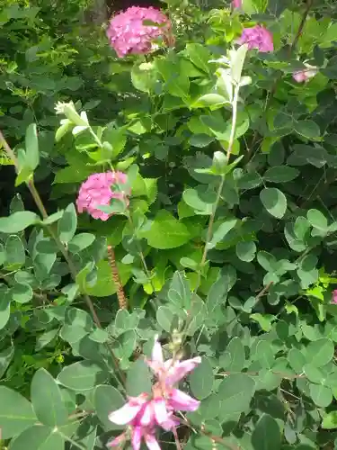 浄光明寺の自然