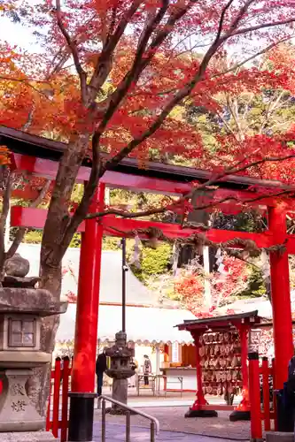 大原野神社(京都府)