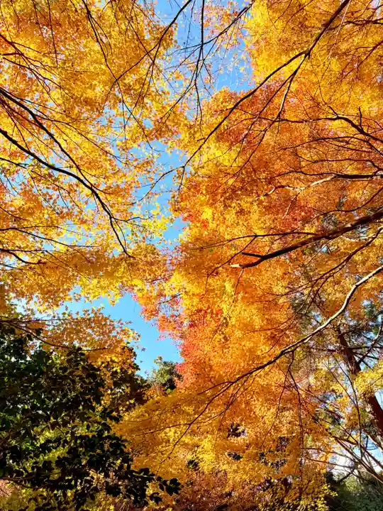 財賀寺(愛知県)