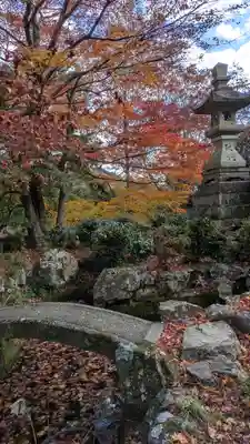 柳谷観音　楊谷寺(京都府)
