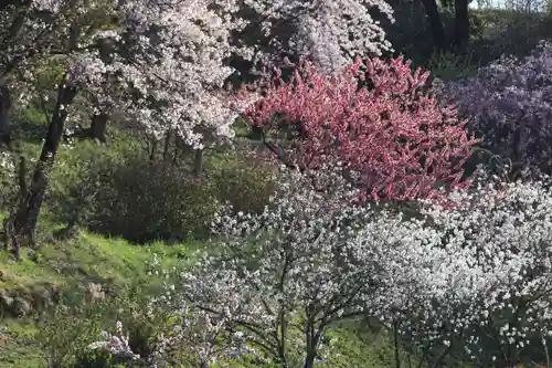 高屋敷稲荷神社の景色