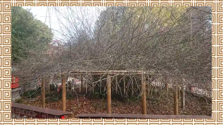 冠稲荷神社(群馬県)