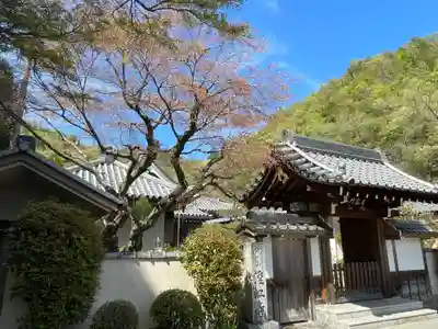 澄江寺(京都府)