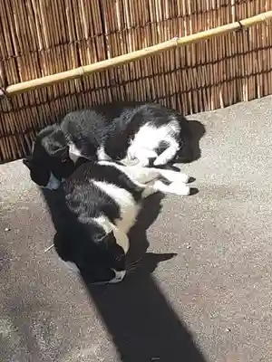 白金氷川神社(東京都)
