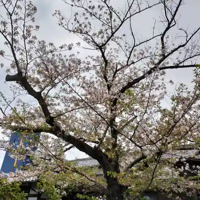 第六天神社(神奈川県)