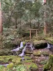 天徳寺の鳥居