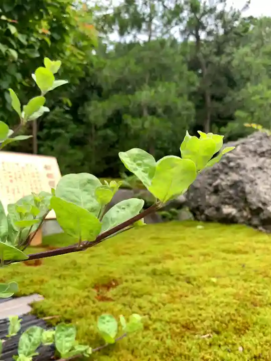 寒川神社の自然