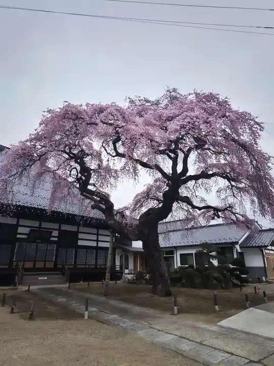 相応寺(福島県)