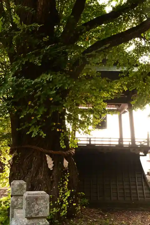 北向観音(長野県)