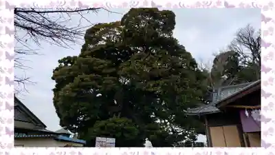 九重神社(埼玉県)