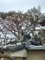 薬師院(神奈川県)