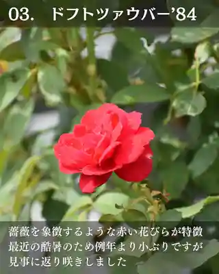 宝光寺(北海道)