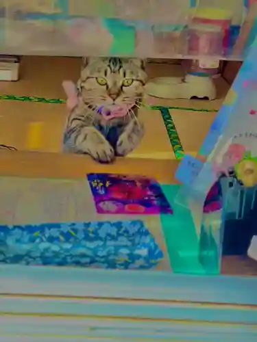 正一位 若草稲荷神社(宮城県)