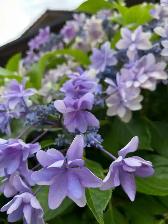 日吉神社(東京都)