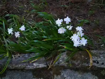 上一宮大粟神社の自然