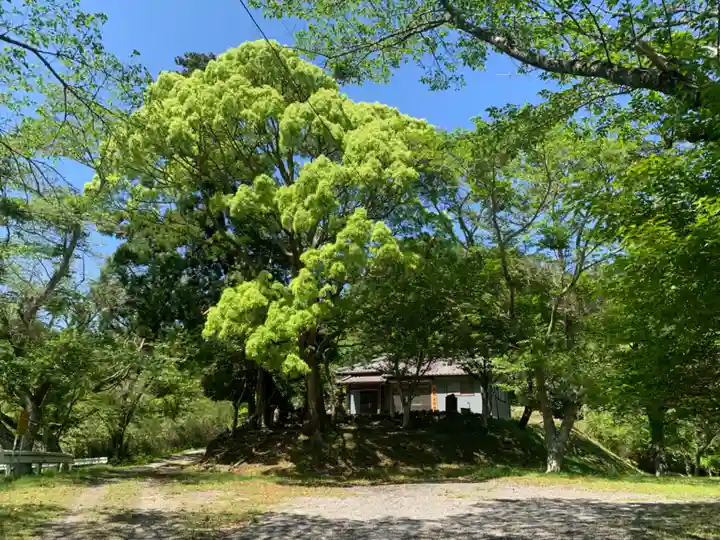 川田不動尊(千葉県)