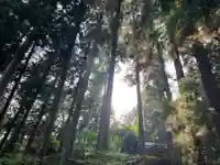 大宮温泉神社(栃木県)