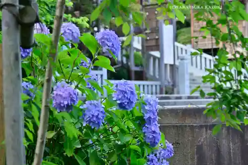伊勢山皇大神宮(神奈川県)