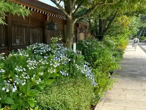 新潟縣護國神社(新潟県)
