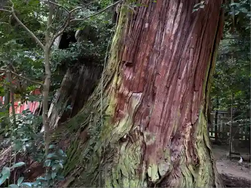 香取神宮(千葉県)