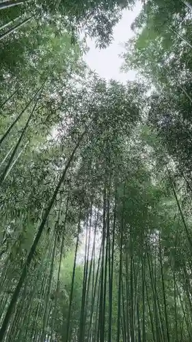 野宮神社の自然