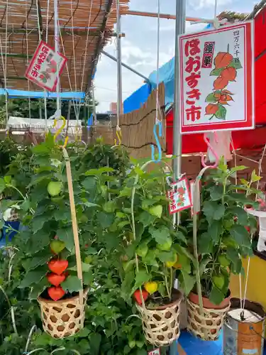 浅草寺の体験その他