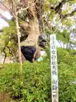 與止日女神社の自然