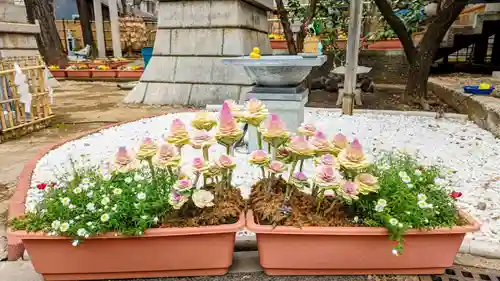 高円寺氷川神社の庭園