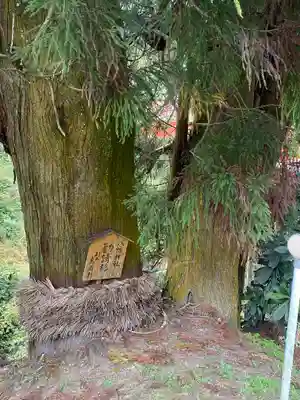 流谷八幡神社(大阪府)