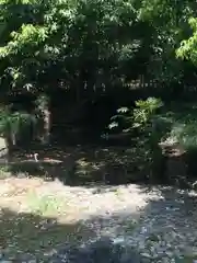 武蔵一宮氷川神社の庭園