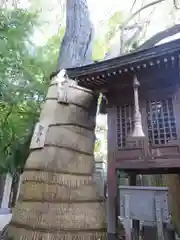 堀越神社の自然