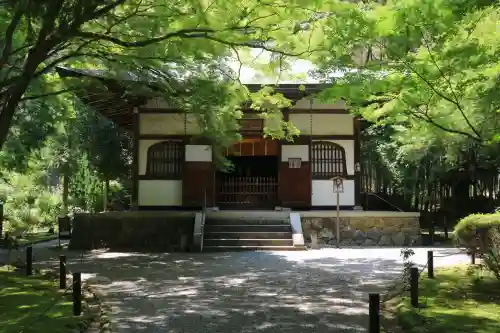 地蔵院(京都府)