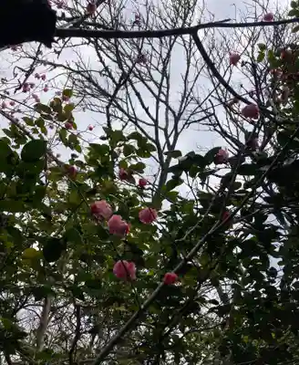 霊鑑寺門跡(京都府)