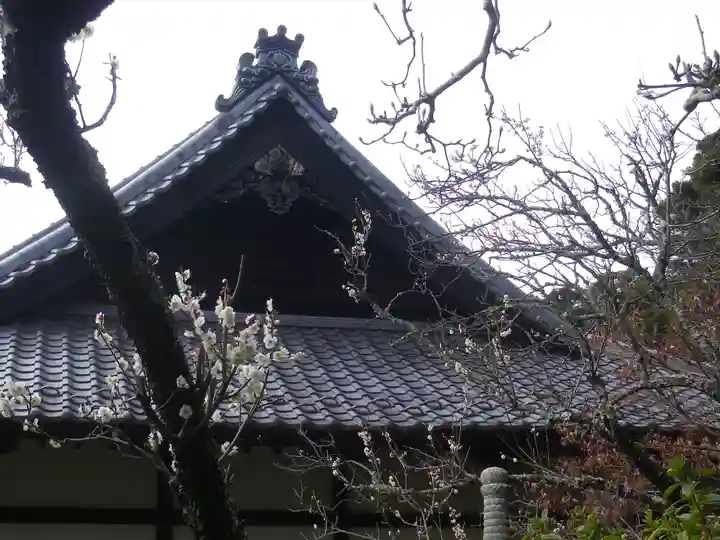 浄光明寺の自然