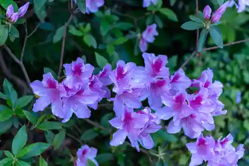 濱田護國神社(島根県)