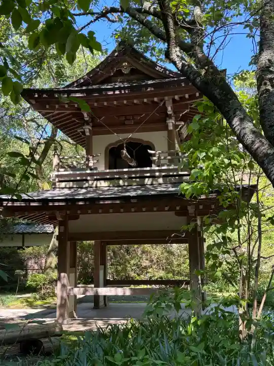 浄智寺の{uncategorized: "未分類", other: "その他", undefined: "問題あり", building: "その他建物", grave: "お墓", sacred_gate: "鳥居", guardian: "狛犬", statue: "像", buddha: "仏像", history: "歴史", nature: "自然", garden: "庭園", animal: "動物", pagoda: "塔", temizu: "手水舎", mountain_gate: "山門・神門", sanctuary: "本殿・本堂", subordinate: "末社・摂社", art: "芸術", scenery: "景色", jizo: "地蔵", ema: "絵馬", goshuin: "御朱印", omikuji: "おみくじ", items: "授与品その他", amulet: "お守り", goshuincho: "御朱印帳", eats: "食事", festival: "お祭り", votive_dance: "神楽", shichigosan: "七五三参", wedding: "結婚式", experience: "体験その他", initially: "初詣", around: "周辺", anti_infection: "感染症対策"}