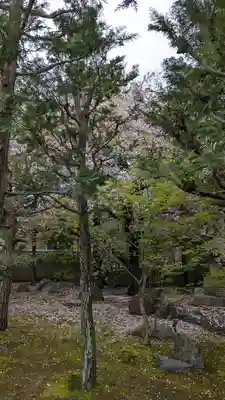 勝林寺(京都府)